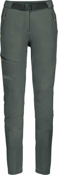 Spodnie outdoorowe Jack Wolfskin Ziegspitz Pants W Slate Green M Spodnie outdoorowe - 1