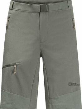 Pantalones cortos para exteriores Jack Wolfskin Ziegspitz Shorts M Gecko Green L Pantalones cortos para exteriores - 1