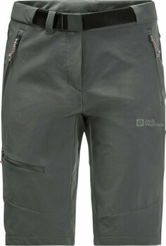 Pantalones cortos para exteriores Jack Wolfskin Ziegspitz Shorts W Slate Green S Pantalones cortos para exteriores - 1