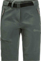 Pantaloncini outdoor Jack Wolfskin Ziegspitz Shorts W Slate Green S-M Pantaloncini