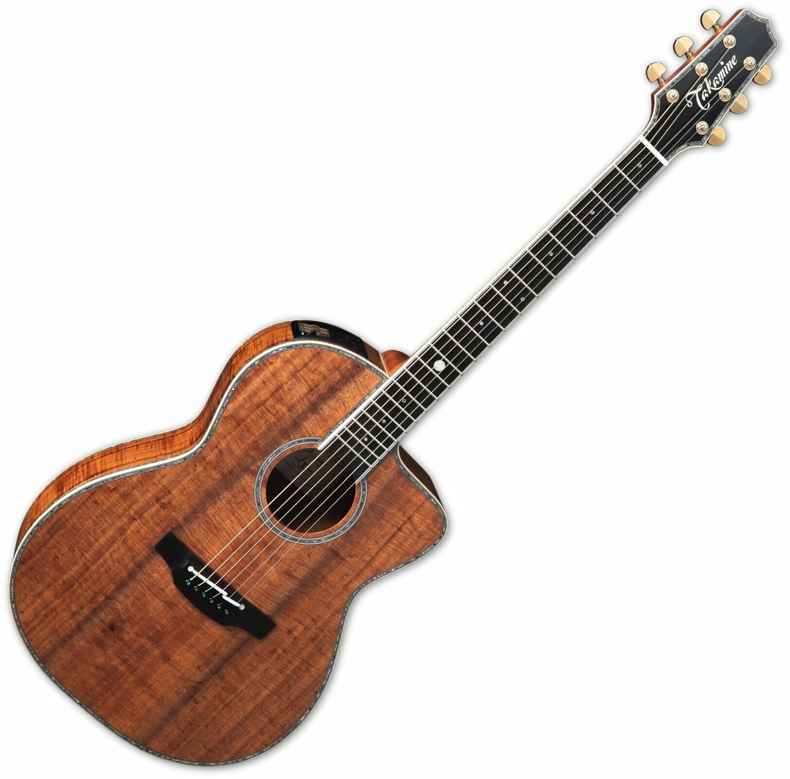 Electro-acoustic guitar Takamine The 60th Natural