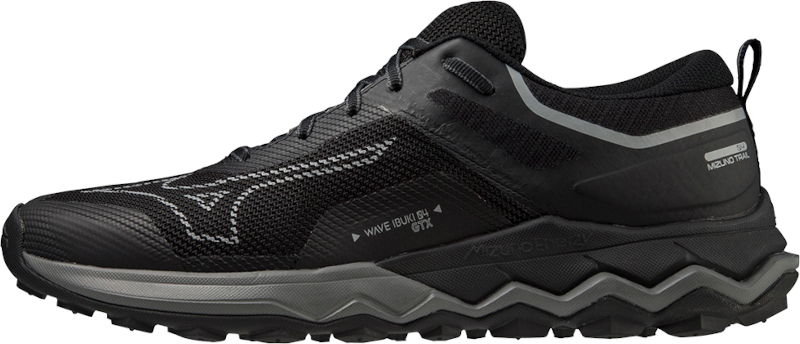 Mizuno wave shop ibuki gtx shoes