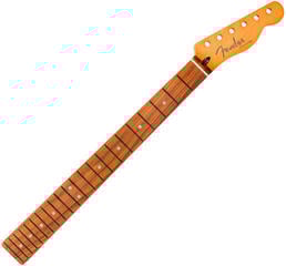 Guitar Neck Fender Player Plus 22 Guitar Neck