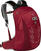 Outdoor Backpack Osprey Talon 14 Jr Cosmic Red Outdoor Backpack