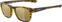 Életmód szemüveg Alpina Lino II Havanna/Gold Életmód szemüveg