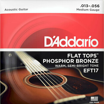 Cordes de guitares acoustiques D'Addario EFT17 - 1