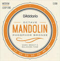 D'Addario EJ80 Mandolinos stygos