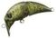 Kalastus wobbler Shimano Cardiff Fuwatoro Top 35F Pellet 3,5 cm 2,5 g