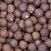 Boilies-syötit No Respect MK 1 kg 24 mm MK2-Plum-Squid Boilies-syötit