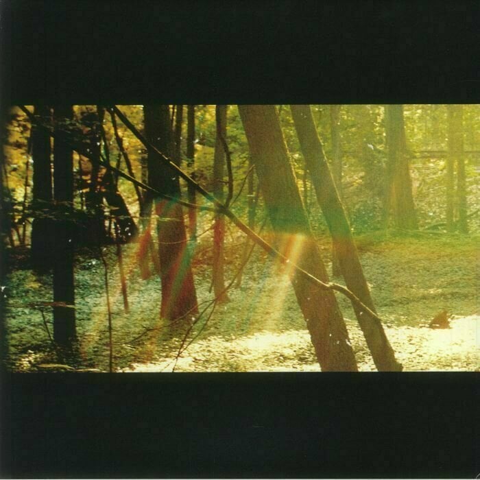 Vinylplade Childish Gambino - Camp (180g) (2 LP)