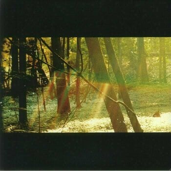 LP Childish Gambino - Camp (180g) (2 LP) - 1