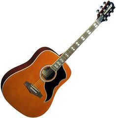Dreadnought Elektro-Akustikgitarren Eko guitars Ranger VI VR EQ Natural Dreadnought Elektro-Akustikgitarren