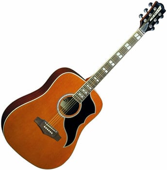 electro-acoustic guitar Eko guitars Ranger VI VR EQ Natural - 1