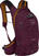 Cycling backpack and accessories Osprey Raven 10 Aprium Purple Backpack