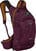 Sac à dos de cyclisme et accessoires Osprey Raven 14 Aprium Purple Sac à dos
