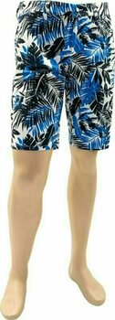 Pantaloni impermeabile Alberto Earnie Revolutional Jungle Waterrepellent Mens Trousers Blue 44 - 1