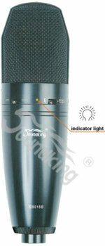 Kondensatormikrofoner för studio Soundking EB 015 B - 1