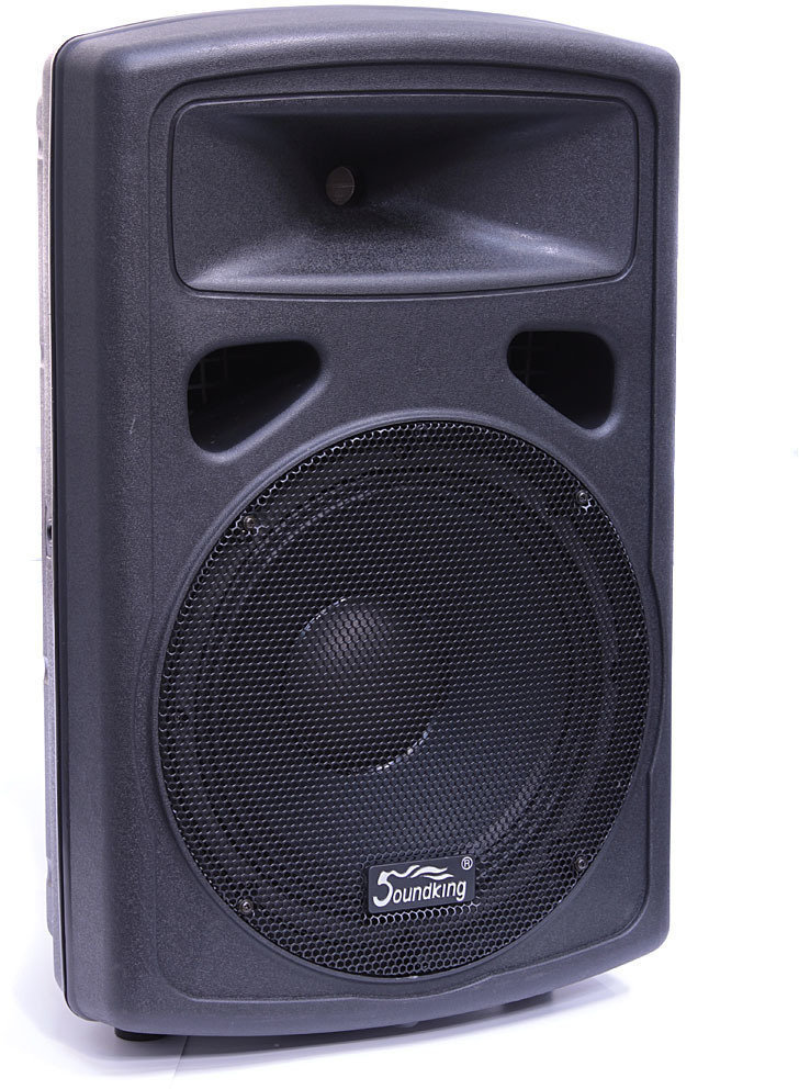 Passive Loudspeaker Soundking FP 0212