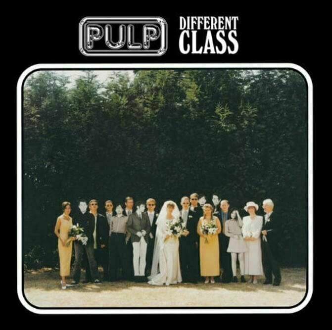 Vinyl Record Pulp - Different Class (LP)