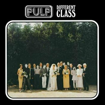 Vinyl Record Pulp - Different Class (LP) - 1