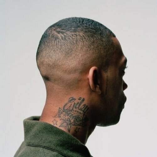 LP Wiley - 100 % Publishing (Limited Edition) (2 LP)