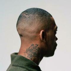Грамофонна плоча Wiley - 100 % Publishing (Limited Edition) (2 LP)