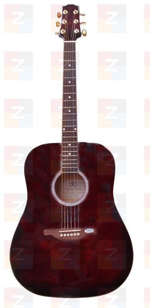 Akoestische gitaar SX DG 28 WRS