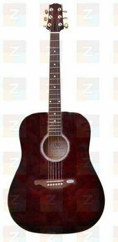 Akoestische gitaar SX DG 28 WRS - 1