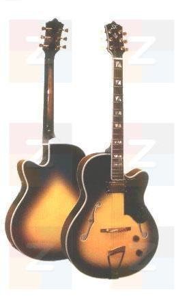 Halbresonanz-Gitarre SX GG 7 CUS NA