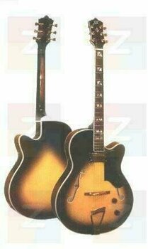 Halbresonanz-Gitarre SX GG 7 CUS NA - 1