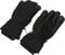 Lyžiarske rukavice Oakley B1B Glove Blackout S Lyžiarske rukavice