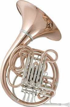 French Horn V. F. Červený CHR 781 French Horn - 1