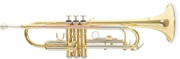 Bb-trompet Roy Benson TR-202 Bb-trompet - 1