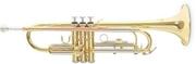 Roy Benson TR-202 Trompete em Sib