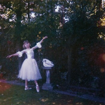 Vinyl Record Wolf Alice - Visions Of A Life (2 LP) - 1