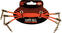 Cabo adaptador/de patch Ernie Ball Flat Ribbon Patch Cable Vermelho 15 cm Angular - Angular