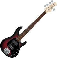 5-струнна бас китара Sterling by MusicMan RAY 5 HH Red Ruby Burst Satin 5-струнна бас китара