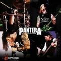 Pantera - Live at Dynamo Open Air 1998 (180g) (Red Coloured) (2 LP)