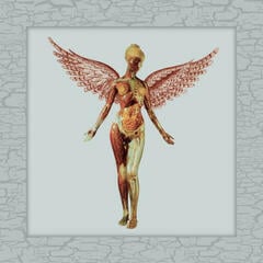 LP ploča Nirvana - In Utero (Limited Edition) (Deluxe Edition) (180 g) (8 LP)