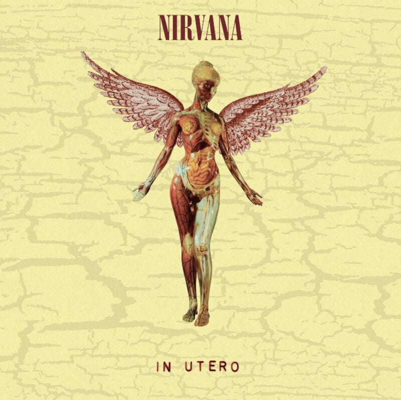 Disco de vinilo Nirvana - In Utero (Limited Edition) (LP + 10" Vinyl)