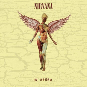 Vinyl Record Nirvana - In Utero (Limited Edition) (LP + 10" Vinyl) - 1