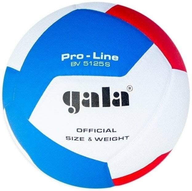Levně Gala Pro Line 12 Halový volejbal