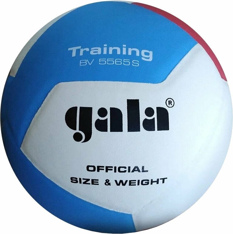 Indoor Volleyball Gala Training 12 Indoor Volleyball