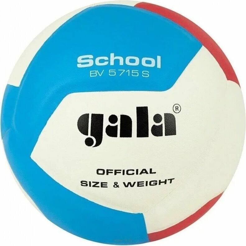Indoor Volleyball Gala School 12 Indoor Volleyball