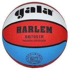 Baloncesto Gala Harlem 7 Baloncesto