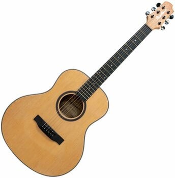 Jumbo akoestische gitaar Pasadena SG01SZ GS Natural - 1