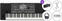 Clavier professionnel Korg PA600 SET