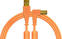 USB Cable DJ Techtools Chroma Cable Orange 1,5 m USB Cable