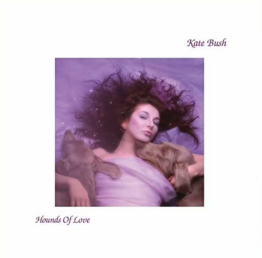 Schallplatte Kate Bush - Hounds Of Love (LP)