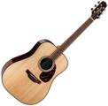Takamine FT340 BS Natural elektroakustisk guitar (Beskadiget)